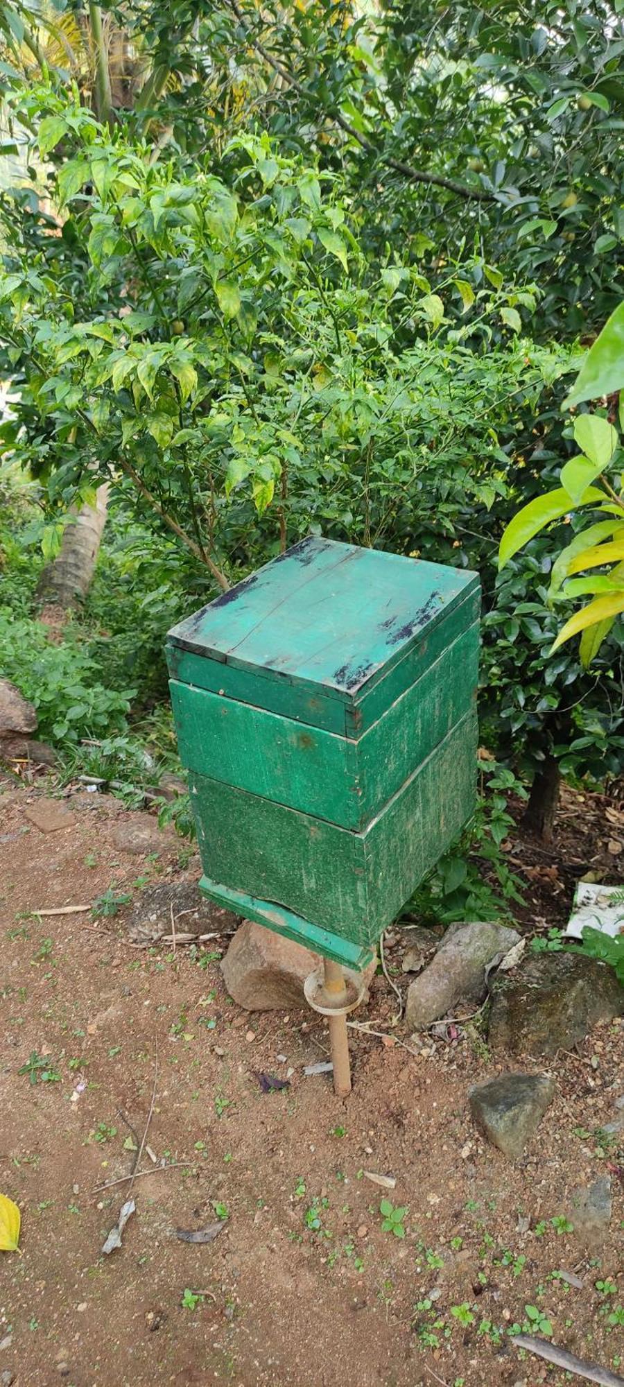 Koonamparayil Home Stay Munnar Anaviratty-Family Only Exterior photo