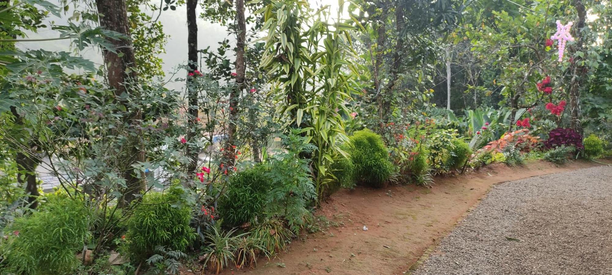 Koonamparayil Home Stay Munnar Anaviratty-Family Only Exterior photo
